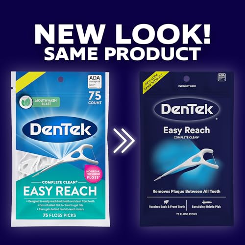 DenTek Complete Clean Floss Picks | Removes Food & Plaque | Dental Hygiene Tool for Oral Care | Everyday Use | Effective